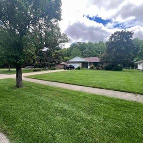 landscape maintenance by Triple S Cuts & Cleanouts reviewed on August 13, 2025