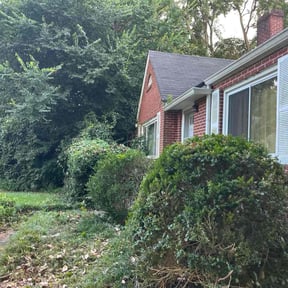 Bush Trimming by A Cut Above reviewed on November 18, 2025