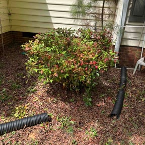 Bush Trimming by Dee's lawn care reviewed on April 8, 2026