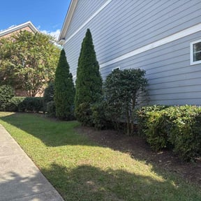 Bush Trimming by Richard LawnCare service reviewed on May 4, 2023