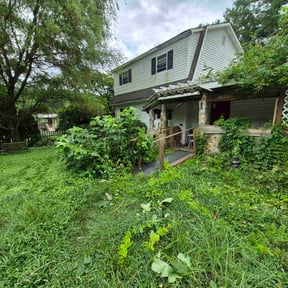 Bush Trimming by Davenport Landscaping reviewed on August 19, 2025