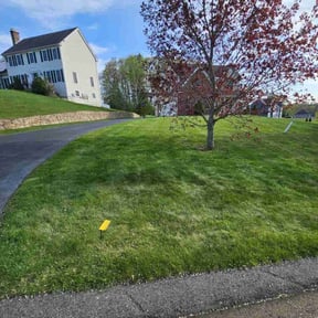 grass maintenance by MrRuiz reviewed on August 18, 2025