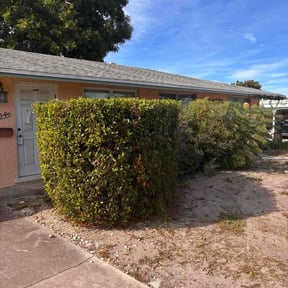 Bush Trimming by Chris Slone Lawn Love reviewed on November 20, 2025