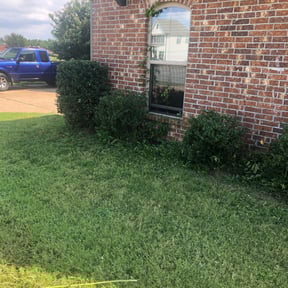Bush Trimming by Polealandscaping and more LLC. reviewed on August 21, 2025