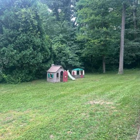 lawn care by BSM & Co. Landscaping reviewed on August 20, 2025