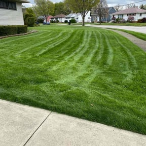 grass cutting by Torres Transformations reviewed on May 16, 2024