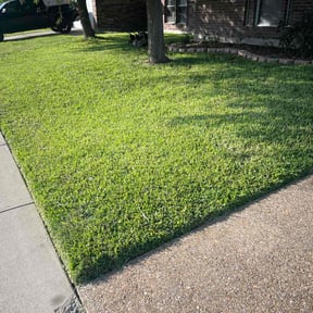gardening service by Y&R reviewed on August 16, 2025
