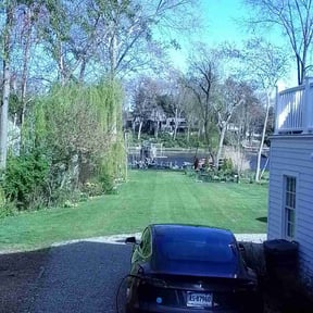 turf maintenance by Grassi lawn care,llc reviewed on August 19, 2025