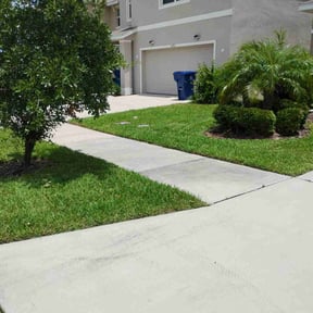 lawn maintenance by The lawn Service,LLC reviewed on August 15, 2025