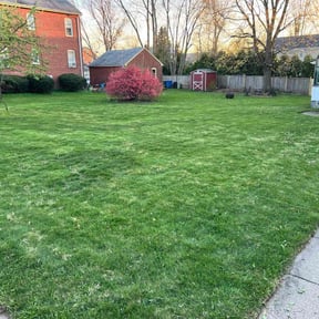 landscaping services by RedLine Landscapes & Snow Removal reviewed on August 17, 2025