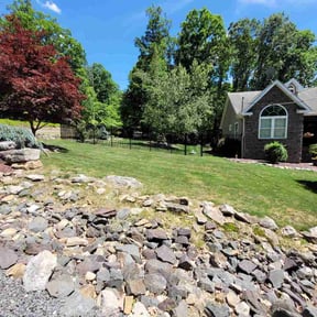 Leaf Removal by Guadalupe reviewed on June 15, 2026
