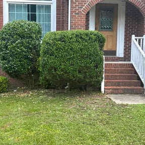 Bush Trimming by Clouse Landscaping reviewed on July 6, 2026