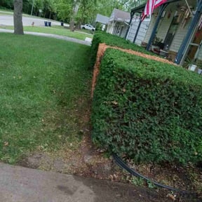 Bush Trimming by Perry's lawn and auto care reviewed on August 14, 2025