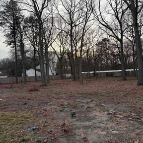 Leaf Removal by Ruperts maintenance reviewed on August 24, 2026