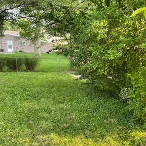 Bush Trimming by Yadiel's Lawn Service LLC reviewed on August 18, 2025