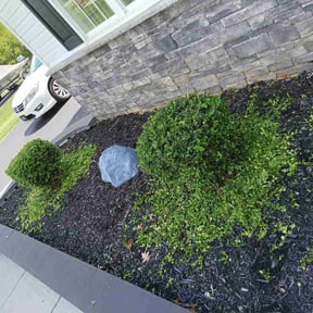 Bush Trimming by K&amp;S Landscaping reviewed on May 5, 2026
