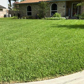 landscape maintenance by Anival landscaping reviewed on August 19, 2025