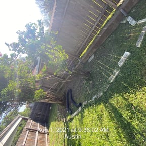 Bush Trimming by L&amp;S Lawn Pros reviewed on May 21, 2025