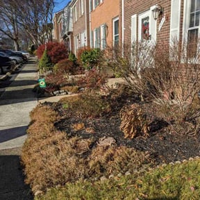 Leaf Removal by Jjecofriendly reviewed on November 28, 2025