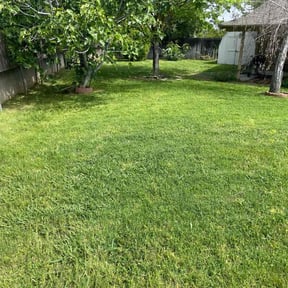 landscape maintenance by Crews Lawn Care reviewed on August 20, 2025