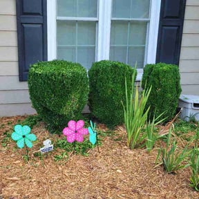 Bush Trimming by SunState Lawn &amp; Property Solutions LLC reviewed on July 16, 2026