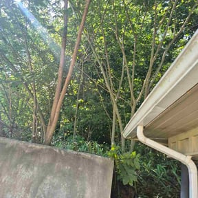 Bush Trimming by D. Nelsons Lawn Care, LLC reviewed on March 29, 2024