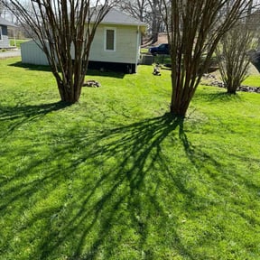 lawn care by Laupola&#039;s Landscaping reviewed on August 18, 2025