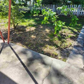 Bush Trimming by GypSea Pressure LLC reviewed on October 7, 2021