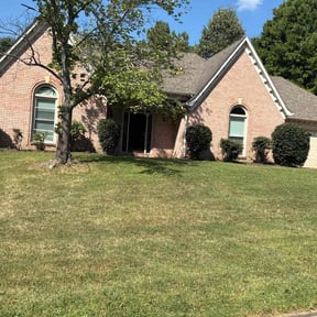 Bush Trimming by Tony's Lawn Care and Landscaping reviewed on November 23, 2025