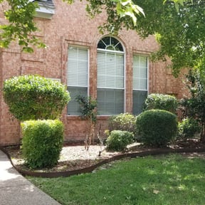 Bush Trimming by Tim's Lawn Service reviewed on August 21, 2025