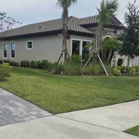 turf care by Elenas Lawn Care LLC reviewed on March 4, 2025