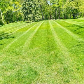 lawn care services by Perea&#039;s Lawn Care reviewed on August 21, 2025