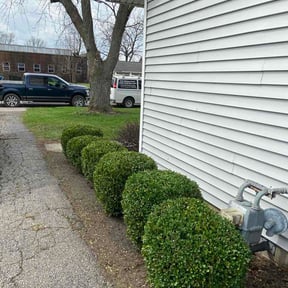 Flower Bed Weeding by Terry's Lawn Service reviewed on March 31, 2026