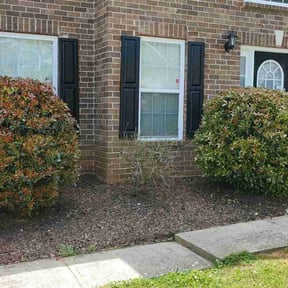 Bush Trimming by Crowder's lawn care reviewed on August 20, 2025