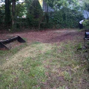 Leaf Removal by harmony Gardening reviewed on June 11, 2026