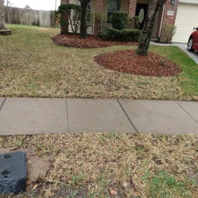 Leaf Removal by 716 Lawns &amp; Landscaping reviewed on September 29, 2025