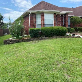 Bush Trimming by Image Lawn Detail reviewed on June 8, 2026