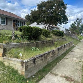 Bush Trimming by Two Grasshoppers lawn care. reviewed on October 21, 2025