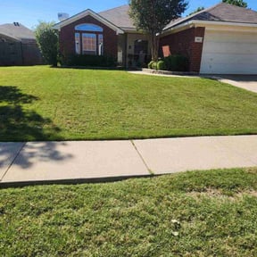 yard work by Ford year-round Lawn Service reviewed on December 10, 2025