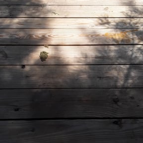Bush Trimming by Dew Right Lawn Care LLC reviewed on August 21, 2025