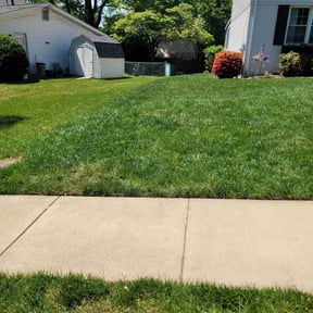 residential landscaping by PILLAR LAWN AND LANDSCAPING reviewed on November 19, 2025