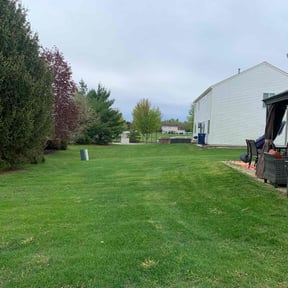 yard service by USA Lawncare Inc reviewed on August 21, 2025