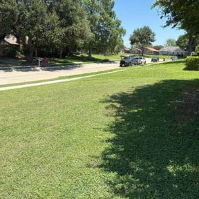 turf care by Year Round Yard Works reviewed on August 15, 2025