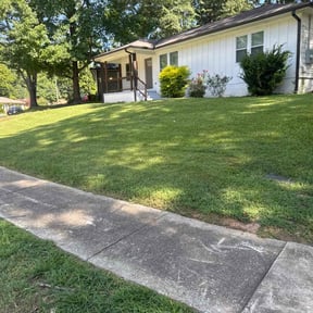 landscaping services by Matro Lawn Service reviewed on August 19, 2025