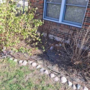 Leaf Removal by Salterscapes reviewed on November 29, 2025