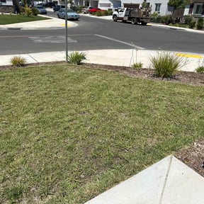 grass maintenance by Lawntastic Home Service reviewed on October 18, 2023