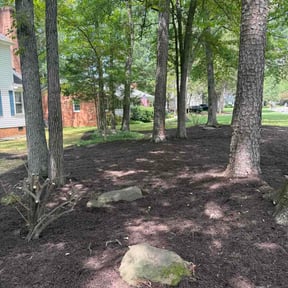 Mulching by Quality landscape and mowing reviewed on August 14, 2026