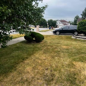 Bush Trimming by RhodenColes Investments reviewed on August 16, 2025
