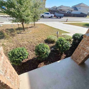 Bush Trimming by Ninja Landscaping reviewed on November 9, 2025