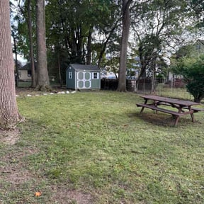 Leaf Removal by Gia Mobile Detailing reviewed on September 24, 2025